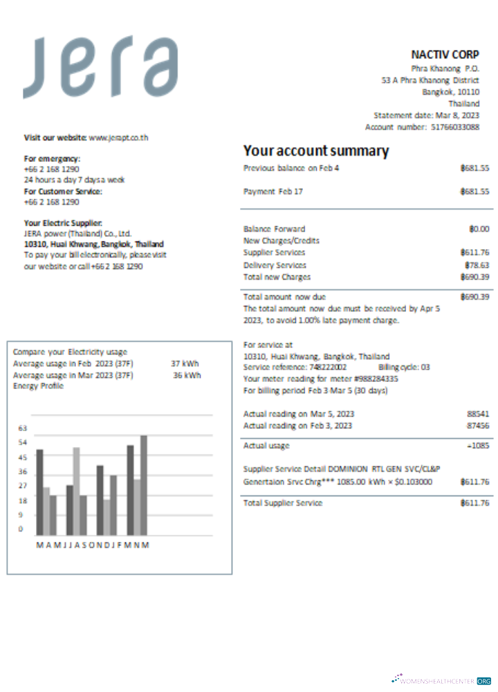 Download JERA power (Thailand) Co., Ltd. utility business bill, SCR Photoshop template